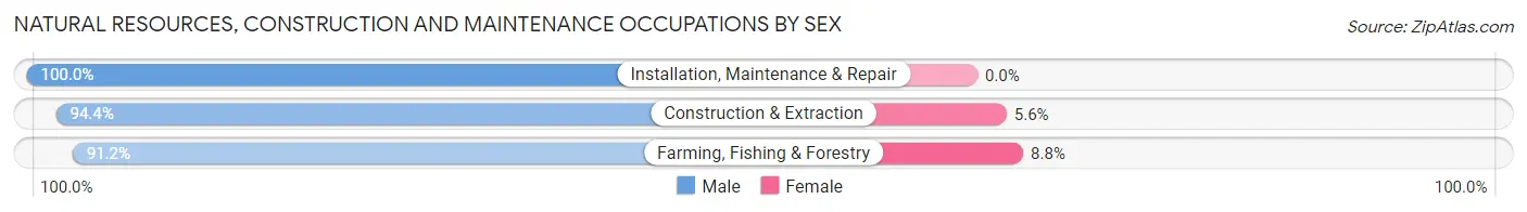 Natural Resources, Construction and Maintenance Occupations by Sex in Sevier County