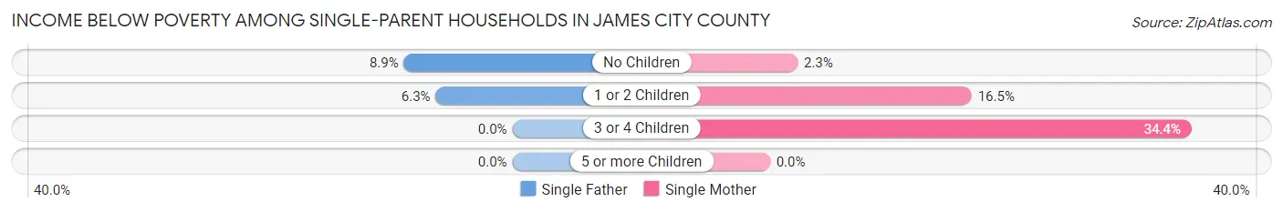 Income Below Poverty Among Single-Parent Households in James City County