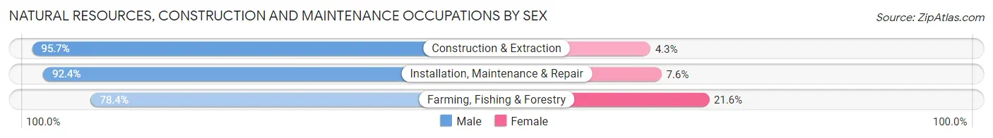 Natural Resources, Construction and Maintenance Occupations by Sex in Roanoke County