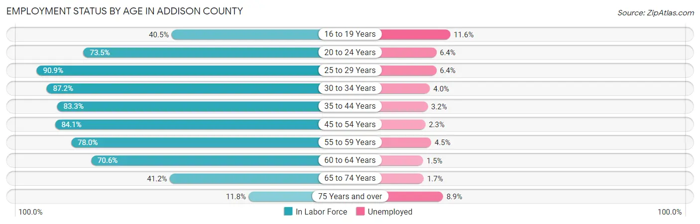 Employment Status by Age in Addison County