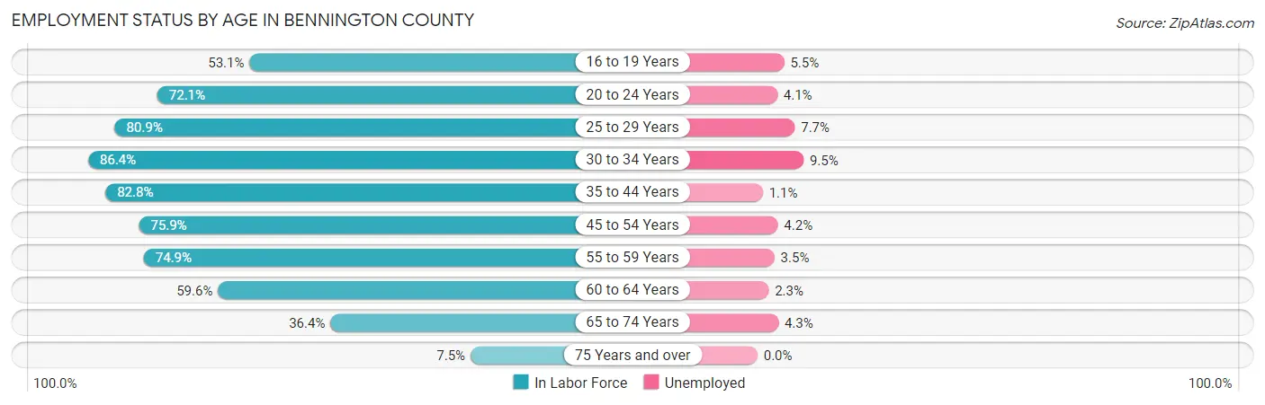 Employment Status by Age in Bennington County
