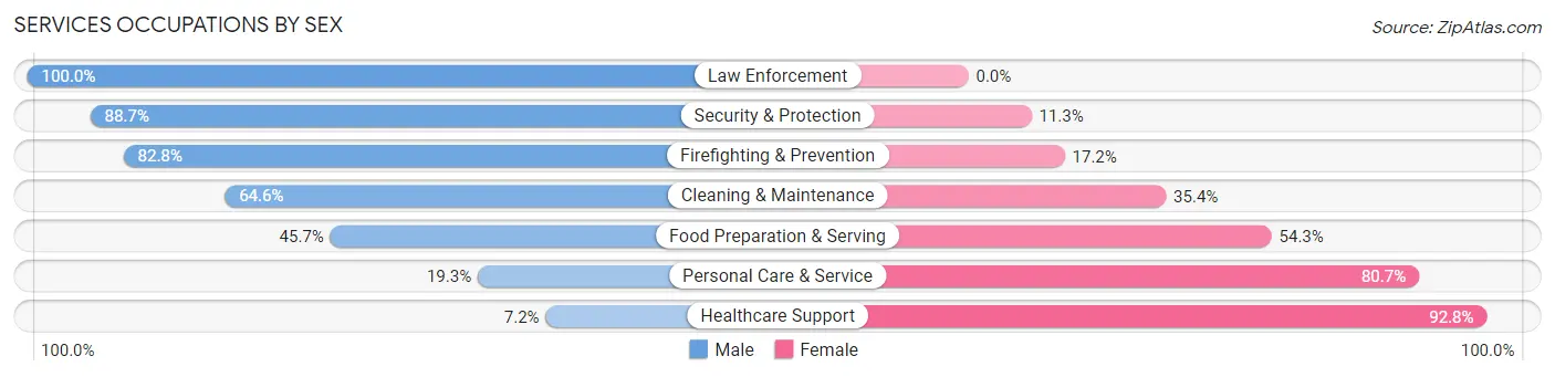 Services Occupations by Sex in Bennington County
