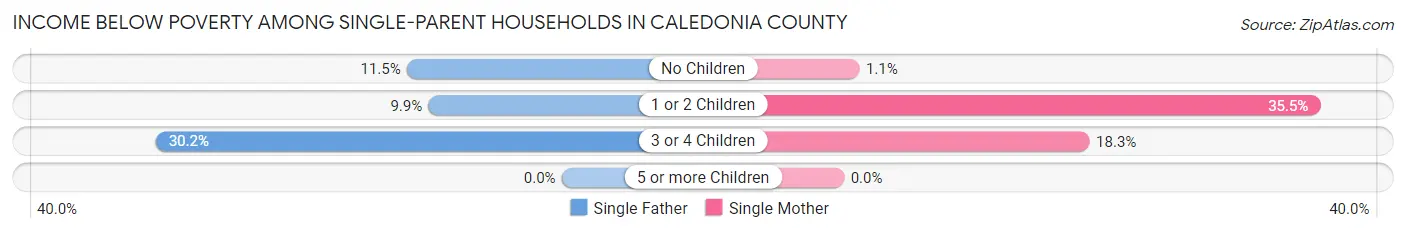 Income Below Poverty Among Single-Parent Households in Caledonia County
