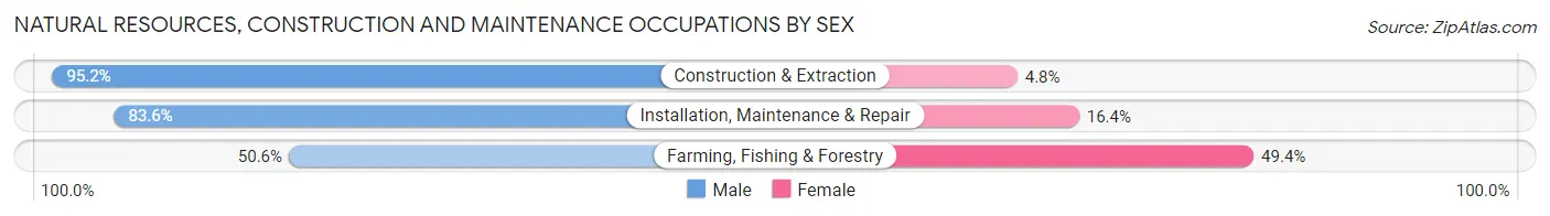 Natural Resources, Construction and Maintenance Occupations by Sex in Chittenden County