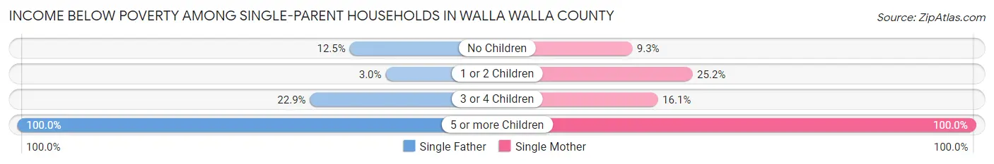 Income Below Poverty Among Single-Parent Households in Walla Walla County