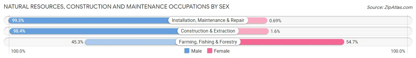Natural Resources, Construction and Maintenance Occupations by Sex in Brown County