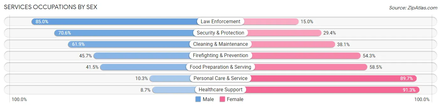 Services Occupations by Sex in Chippewa County