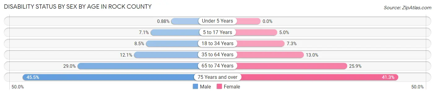 Disability Status by Sex by Age in Rock County