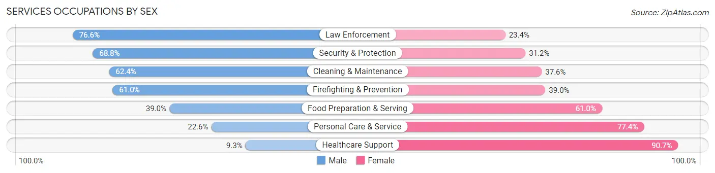Services Occupations by Sex in Rock County