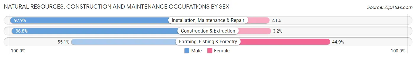 Natural Resources, Construction and Maintenance Occupations by Sex in Waukesha County