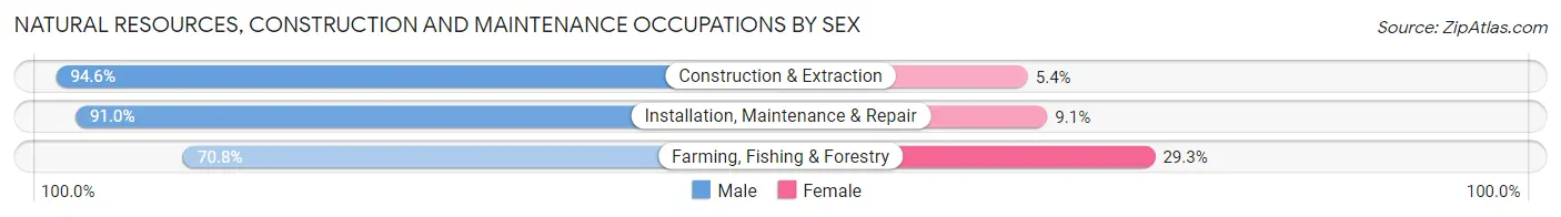 Natural Resources, Construction and Maintenance Occupations by Sex in Winnebago County