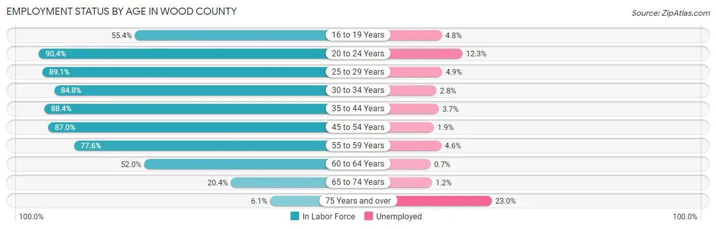 Employment Status by Age in Wood County