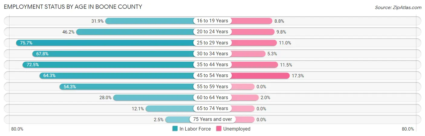 Employment Status by Age in Boone County