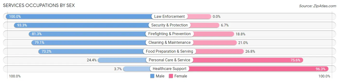 Services Occupations by Sex in Brooke County