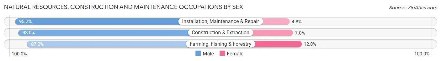 Natural Resources, Construction and Maintenance Occupations by Sex in Marion County