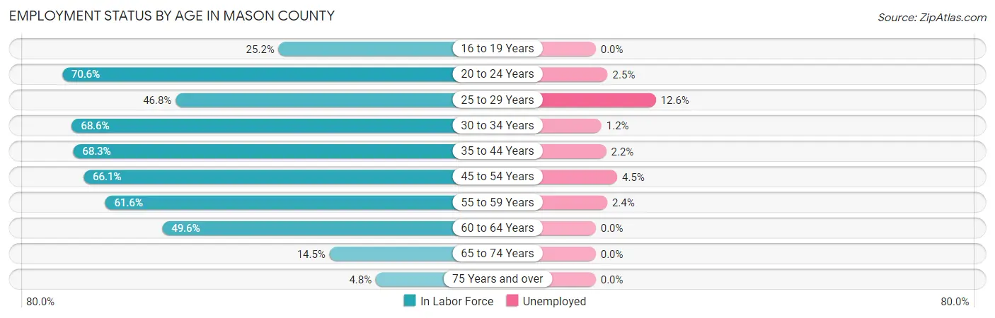 Employment Status by Age in Mason County
