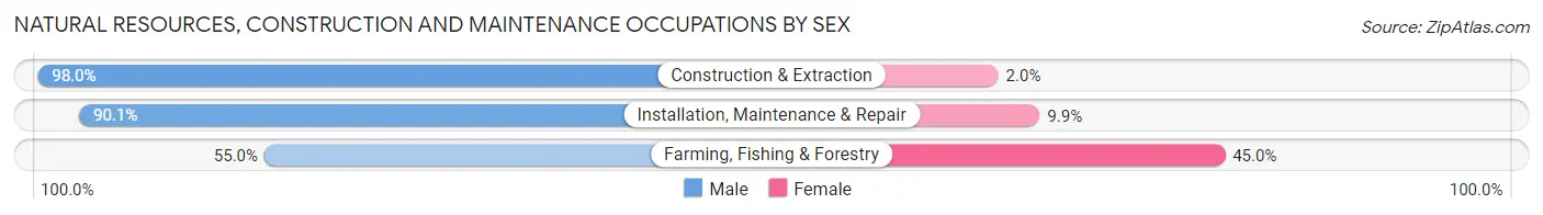 Natural Resources, Construction and Maintenance Occupations by Sex in Mason County