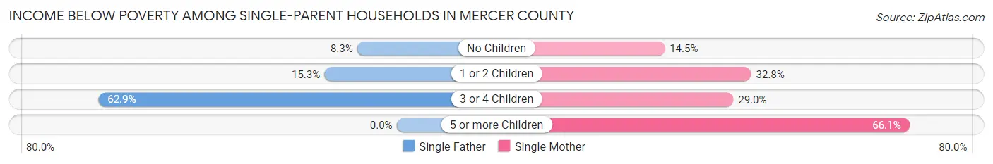 Income Below Poverty Among Single-Parent Households in Mercer County