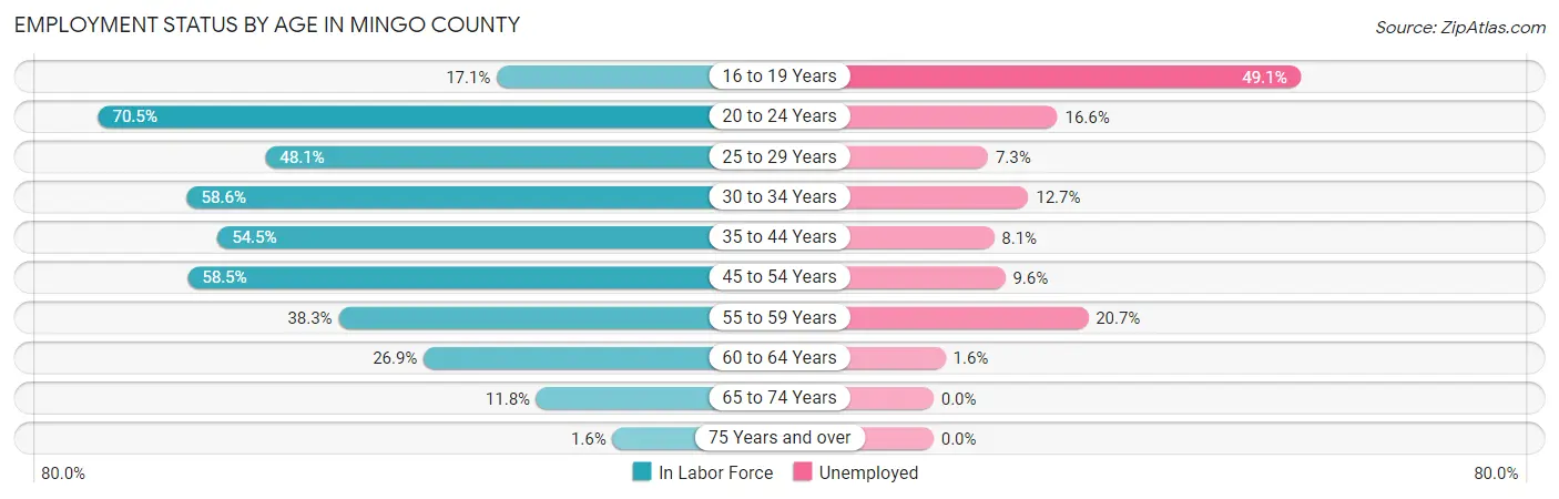 Employment Status by Age in Mingo County