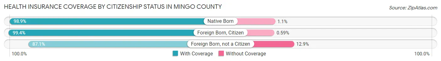 Health Insurance Coverage by Citizenship Status in Mingo County