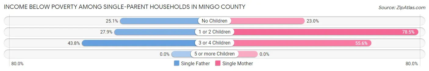 Income Below Poverty Among Single-Parent Households in Mingo County