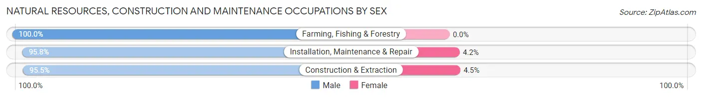 Natural Resources, Construction and Maintenance Occupations by Sex in Putnam County