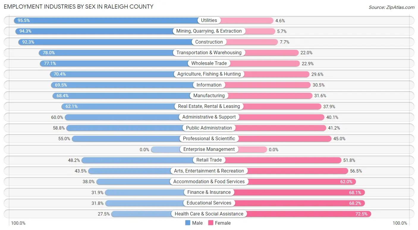 Employment Industries by Sex in Raleigh County