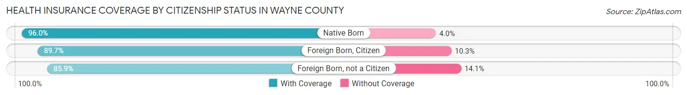 Health Insurance Coverage by Citizenship Status in Wayne County