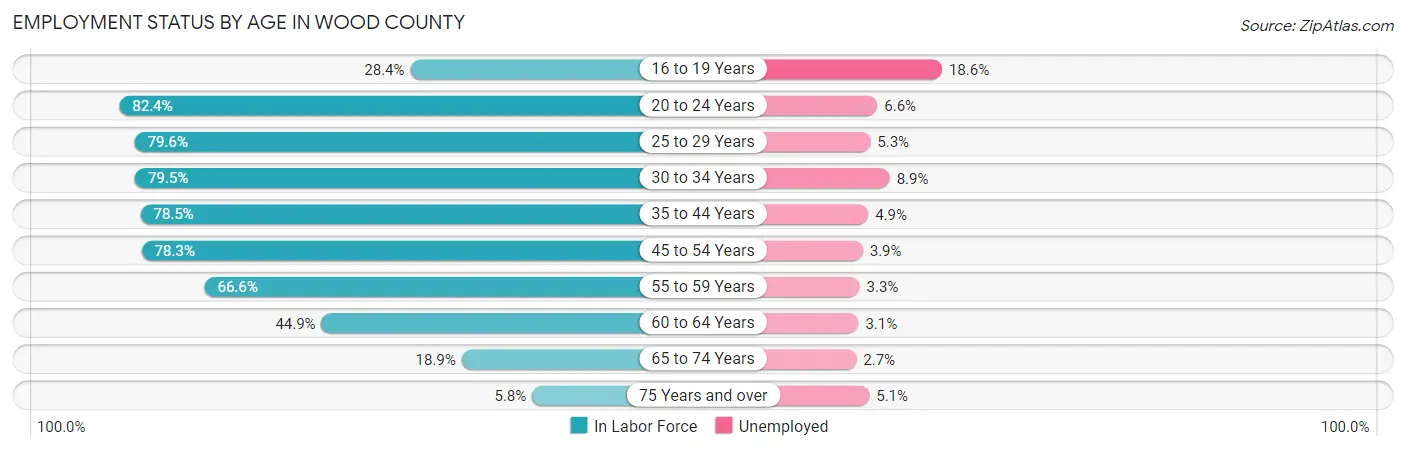 Employment Status by Age in Wood County