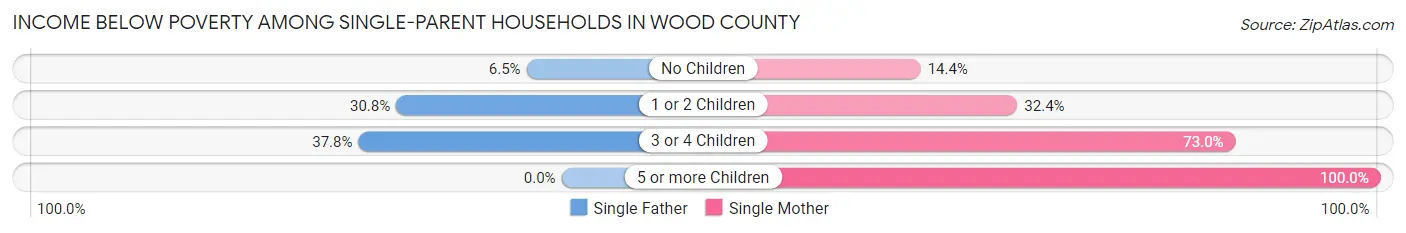 Income Below Poverty Among Single-Parent Households in Wood County