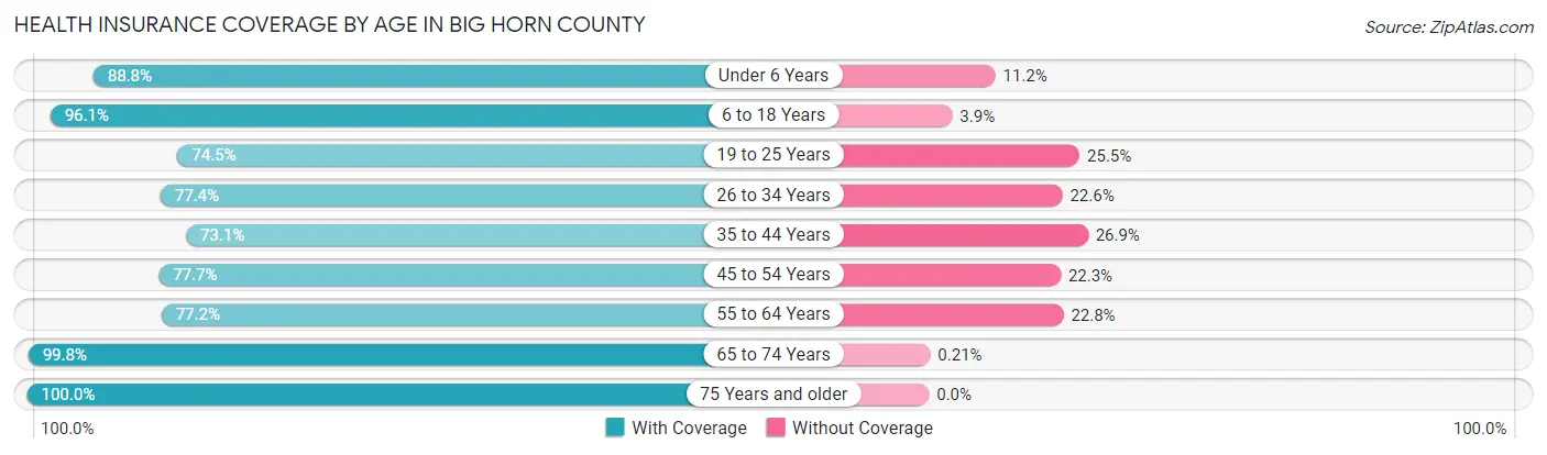 Health Insurance Coverage by Age in Big Horn County