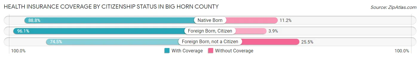 Health Insurance Coverage by Citizenship Status in Big Horn County
