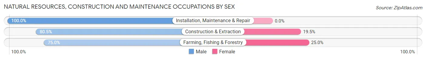 Natural Resources, Construction and Maintenance Occupations by Sex in Johnson County