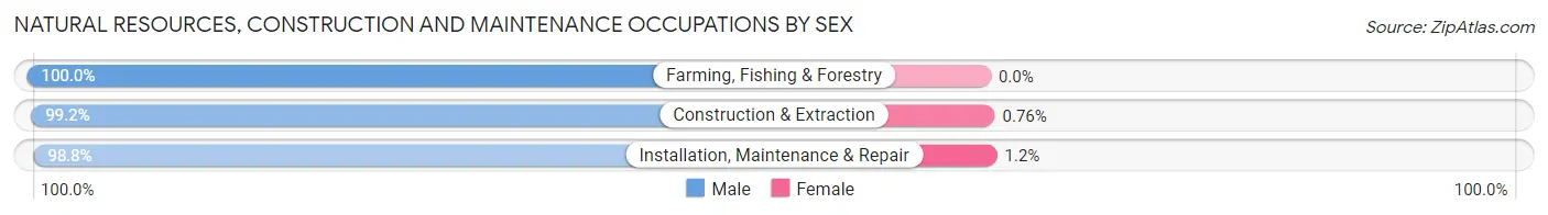 Natural Resources, Construction and Maintenance Occupations by Sex in Sweetwater County