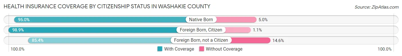 Health Insurance Coverage by Citizenship Status in Washakie County