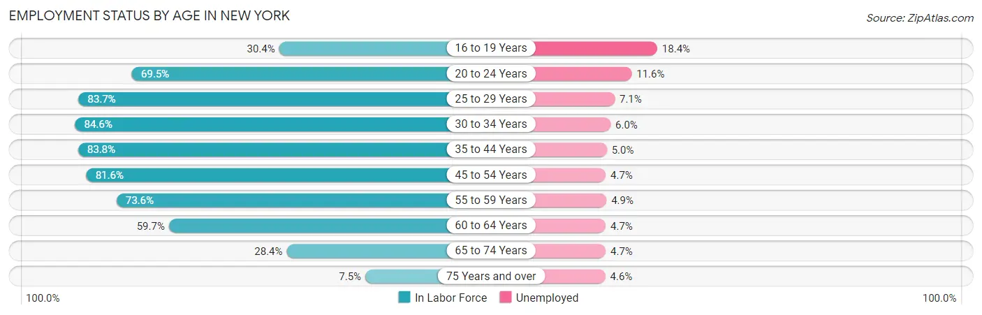 Employment Status by Age in New York