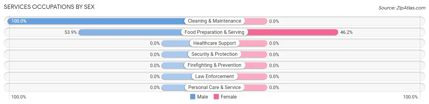 Services Occupations by Sex in Zip Code 00611