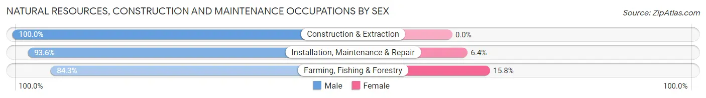 Natural Resources, Construction and Maintenance Occupations by Sex in Zip Code 00624