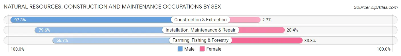 Natural Resources, Construction and Maintenance Occupations by Sex in Zip Code 00662