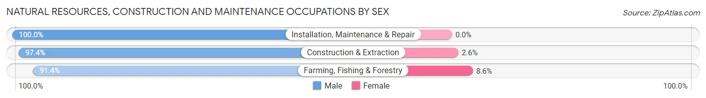 Natural Resources, Construction and Maintenance Occupations by Sex in Zip Code 00685