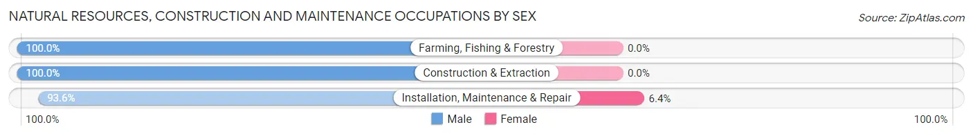 Natural Resources, Construction and Maintenance Occupations by Sex in Zip Code 00738