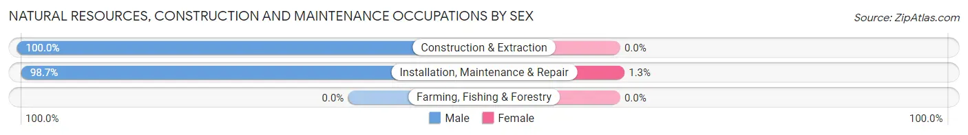 Natural Resources, Construction and Maintenance Occupations by Sex in Zip Code 00957
