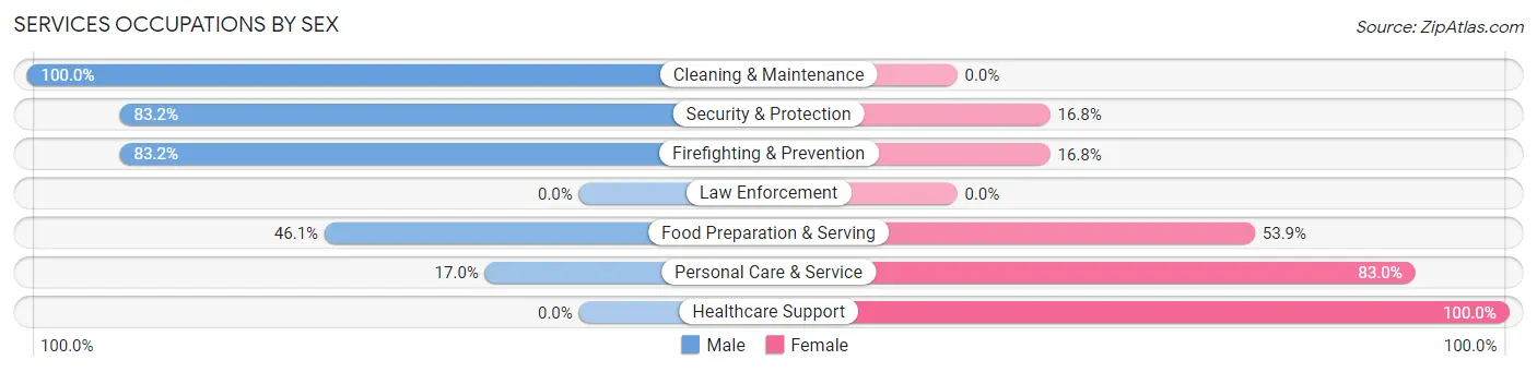 Services Occupations by Sex in Zip Code 01003