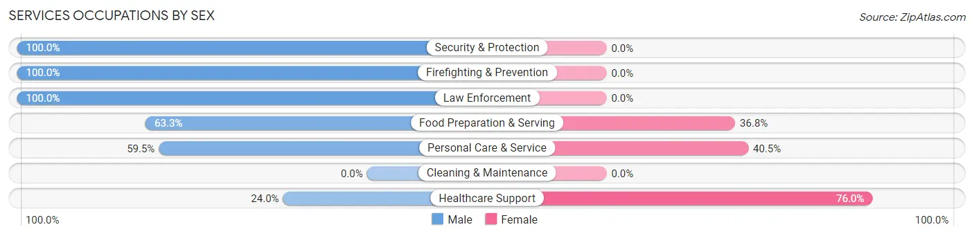 Services Occupations by Sex in Zip Code 01083