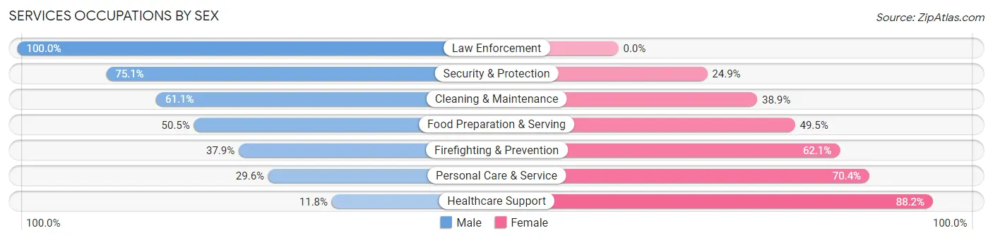 Services Occupations by Sex in Zip Code 01201