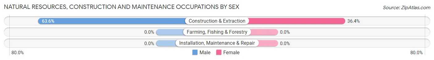 Natural Resources, Construction and Maintenance Occupations by Sex in Zip Code 01244