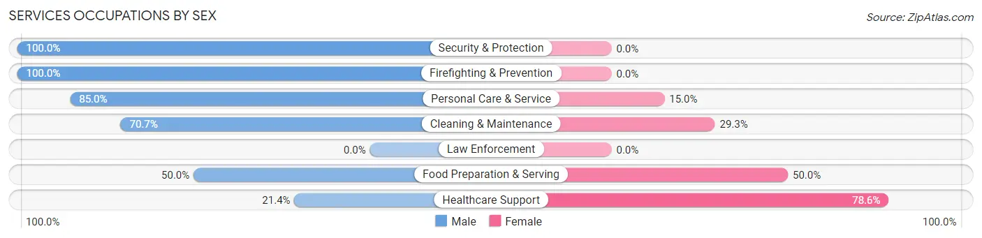 Services Occupations by Sex in Zip Code 01354