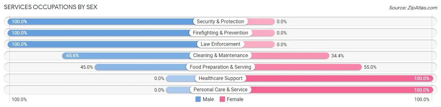 Services Occupations by Sex in Zip Code 01562