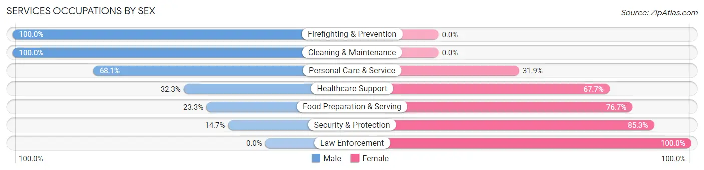 Services Occupations by Sex in Zip Code 01611