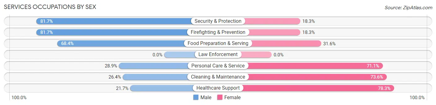 Services Occupations by Sex in Zip Code 01720